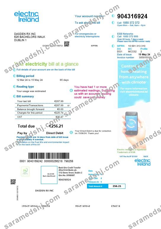 Ireland Electric Ireland business utility bill template in Word and PDF formats